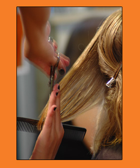 Make an Appointment at Bodhi Salon - Denver, Colorado