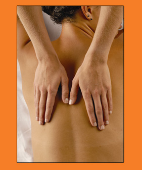Make an Appointment at Bodhi Salon - Denver, Colorado