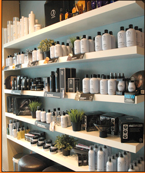 Hair, Color & Make-up Services at Salon Bodhi - Denver, Colorado